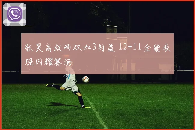 张昊高效两双加3封盖 12+11全能表现闪耀赛场