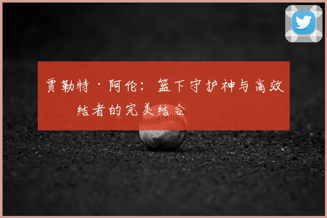 贾勒特·阿伦：篮下守护神与高效终结者的完美结合